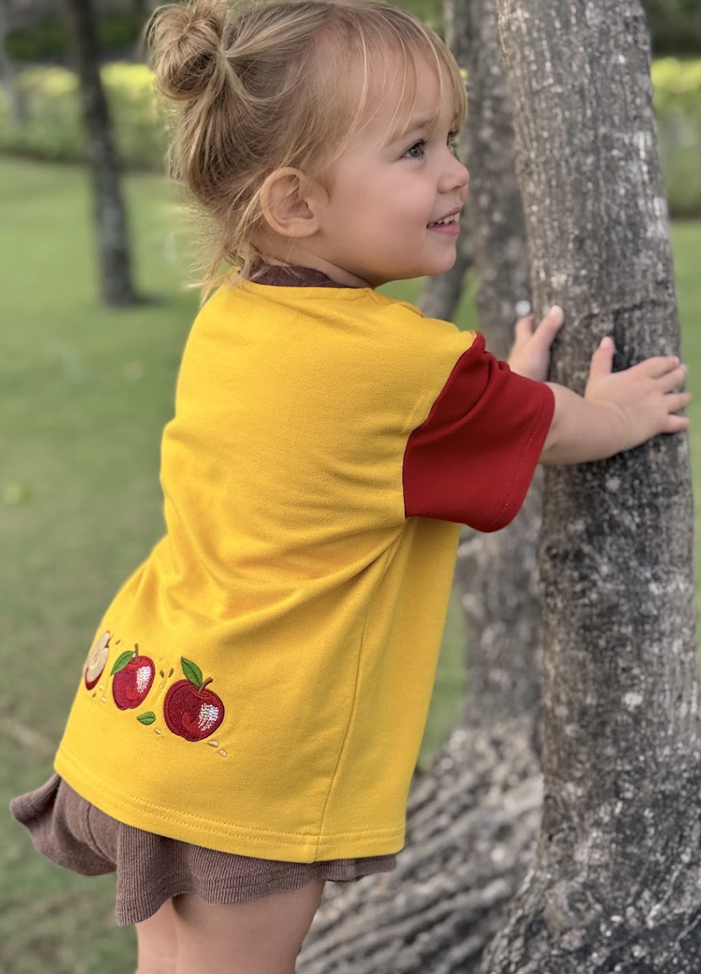 Apple Thief